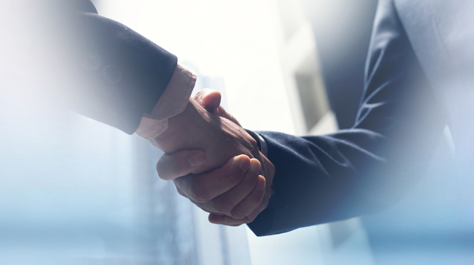 handshake between two professionals